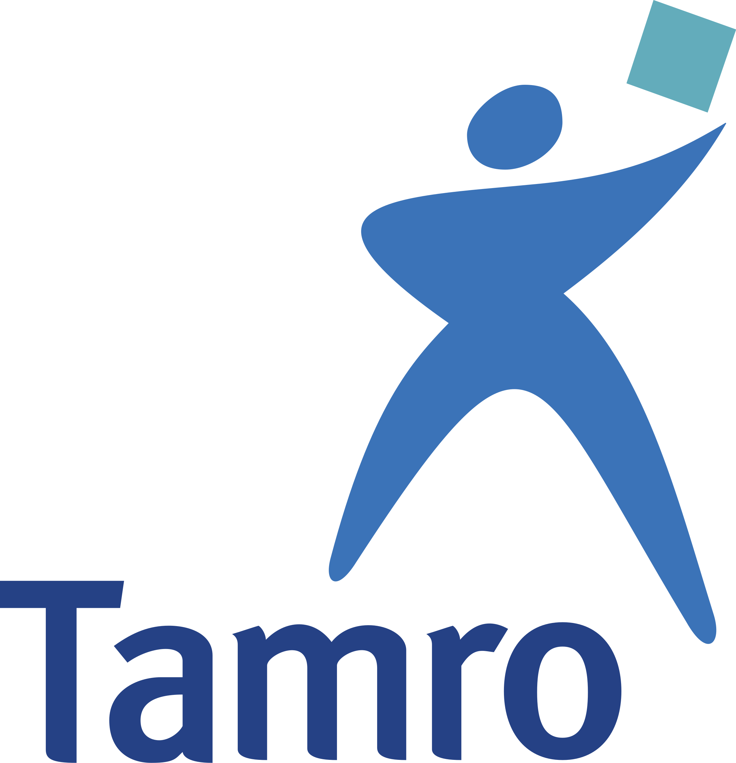 2344Px Tamro Logo