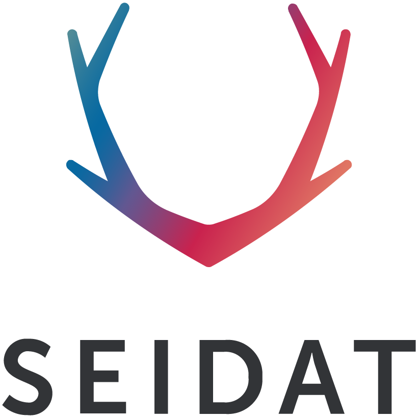 Seidat Logo Square Color